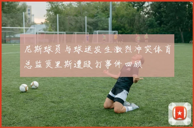 尼斯球员与球迷发生激烈冲突体育总监莫里斯遭殴打事件回顾
