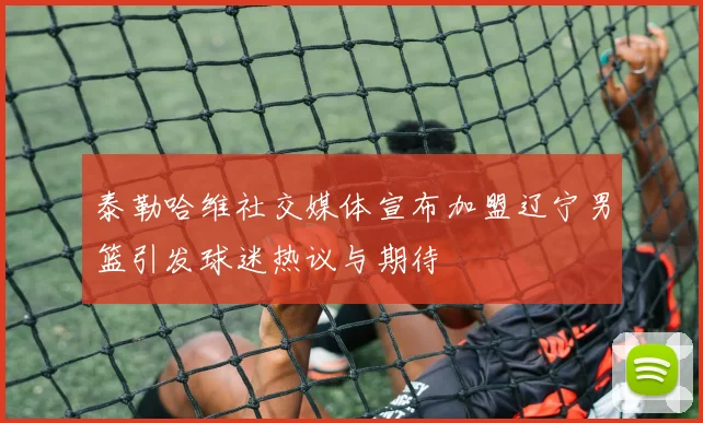 泰勒哈维社交媒体宣布加盟辽宁男篮引发球迷热议与期待