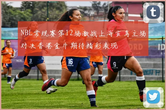 NBL常规赛第12场激战上海玄鸟主场对决香港金牛期待精彩表现