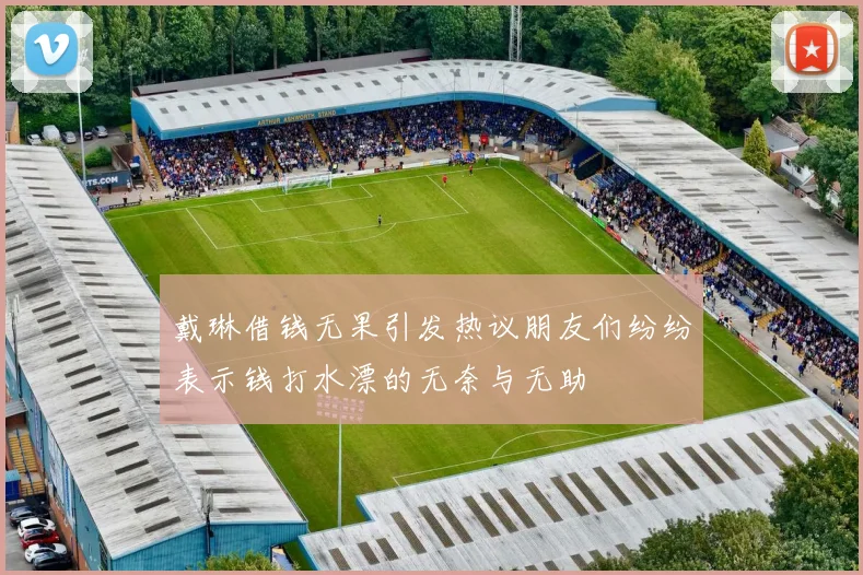 戴琳借钱无果引发热议朋友们纷纷表示钱打水漂的无奈与无助